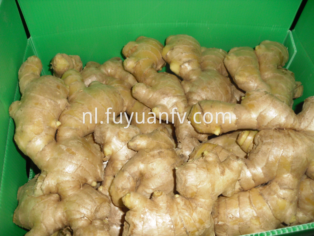 dried ginger